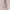 https://res.cloudinary.com/billionhands/image/upload/v1776613618/items/fry7gyrtrugxlilqhuvl.png-1cover