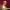 https://res.cloudinary.com/billionhands/image/upload/v1776614124/items/jtxsg8imyxjfx79dfiad.jpg-3cover
