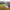 https://res.cloudinary.com/billionhands/image/upload/v1776615400/items/jnpezbgwfsyigmqxpelh.jpg-0cover