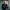 Jorge Ramos (Noticiero Univisión) cover
