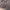 https://res.cloudinary.com/billionhands/image/upload/v1776619108/items/qyjo4oncqimigjhiuncb.webp-3cover