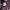 https://res.cloudinary.com/billionhands/image/upload/v1776620127/items/fzysbp3khkepzrruogm0.jpg-3cover
