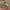https://res.cloudinary.com/billionhands/image/upload/v1776621077/items/g6wesqeqhaaaxvh0c4y5.jpg-0cover