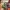 https://res.cloudinary.com/billionhands/image/upload/v1776628871/items/pei2zzsfwppdvx2vjfle.jpg-0cover