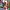 https://res.cloudinary.com/billionhands/image/upload/v1776628887/items/ifzkrm561mruwd5pyhtl.jpg-2cover