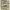 https://res.cloudinary.com/billionhands/image/upload/v1776628942/items/bwbotsofuhn9j0nkvnwe.webp-2cover