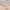 https://res.cloudinary.com/billionhands/image/upload/v1776629805/items/bgfnjgtbhf5hlof7mr2y.jpg-2cover