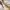 https://res.cloudinary.com/billionhands/image/upload/v1776629810/items/yg1kt1lasimh0ytxpbew.webp-3cover