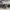 https://res.cloudinary.com/billionhands/image/upload/v1776639012/items/jk00heppwd4flkjhnhsm.webp-2cover