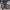 https://res.cloudinary.com/billionhands/image/upload/v1776639484/items/vxdqrdxx3g4txsxje1q5.jpg-3cover