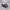 https://res.cloudinary.com/billionhands/image/upload/v1776644356/items/qvqn5cuwejbjjyojysk4.webp-0cover