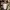 https://res.cloudinary.com/billionhands/image/upload/v1776663002/items/wyfw2qnq4h2vuondq3du.jpg-1cover