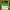 https://res.cloudinary.com/billionhands/image/upload/v1776663650/items/ifmumk0g6l1ofa6unuol.jpg-2cover