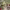 https://res.cloudinary.com/billionhands/image/upload/v1776663651/items/g1t97dlatucyyh9rbme3.jpg-0cover
