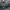 https://res.cloudinary.com/billionhands/image/upload/v1776663699/items/lppokbv0srnmapsyam0r.jpg-2cover