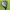 https://res.cloudinary.com/billionhands/image/upload/v1776666076/items/jvxfomexyhuuewftujuu.jpg-0cover