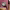 https://res.cloudinary.com/billionhands/image/upload/v1776666077/items/vk6eyy6ut73cyhpi22k3.jpg-1cover