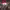 https://res.cloudinary.com/billionhands/image/upload/v1776675954/items/cui6ar8skgxzhxbcd4ey.webp-2cover
