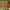 https://res.cloudinary.com/billionhands/image/upload/v1776677040/items/kavb8bjiajacyzeg7eec.jpg-0cover