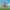 https://res.cloudinary.com/billionhands/image/upload/v1776684563/items/lecaerzhq3f9qag4bwgg.webp-0cover