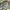 https://res.cloudinary.com/billionhands/image/upload/v1776684564/items/o3o3c2mgispwxwlwe6vp.webp-1cover