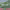 https://res.cloudinary.com/billionhands/image/upload/v1776684567/items/fwdaxia064gn4oauqliv.webp-1cover
