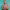 https://res.cloudinary.com/billionhands/image/upload/v1776685641/items/ejb0wqo8bh1qrmro5apv.jpg-1cover