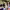 https://res.cloudinary.com/billionhands/image/upload/v1776685660/items/daukdrf7bzfguin2cavd.jpg-3cover
