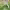 https://res.cloudinary.com/billionhands/image/upload/v1776685860/items/de1x1nkvbj7mneyawofw.jpg-2cover