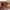 https://res.cloudinary.com/billionhands/image/upload/v1776687620/items/wnh3gpt8wqzlpaqkbrfs.jpg-3cover