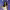 https://res.cloudinary.com/billionhands/image/upload/v1776690186/items/tncpzex9wvb5spkpvzia.webp-0cover