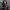 https://res.cloudinary.com/billionhands/image/upload/v1776690193/items/cxzxpzlhwdg2xpyidubh.jpg-1cover