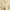 https://res.cloudinary.com/billionhands/image/upload/v1776692654/items/j22syhok3l5adjmchjsu.jpg-3cover