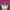 https://res.cloudinary.com/billionhands/image/upload/v1776693737/items/lub8bocnaeyouds0xop9.webp-2cover