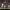https://res.cloudinary.com/billionhands/image/upload/v1776696660/items/nbfxy5tsp4uqrea7vgal.jpg-2cover