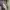 https://res.cloudinary.com/billionhands/image/upload/v1776701140/items/yfshqvakccopz0vgomef.jpg-0cover