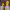 https://res.cloudinary.com/billionhands/image/upload/v1776714098/items/yapvuvi0dr5rkbgftruf.webp-1cover