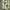 https://res.cloudinary.com/billionhands/image/upload/v1776716469/items/avyoh7xvd5dxign6exia.jpg-1cover