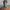 https://res.cloudinary.com/billionhands/image/upload/v1776717394/items/dpy3zuclwzowbztuqmzq.jpg-3cover