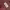 https://res.cloudinary.com/billionhands/image/upload/v1776719899/items/httptthgmoxjjsjrrrve.jpg-0cover