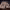 https://res.cloudinary.com/billionhands/image/upload/v1776719901/items/kbqqevwrepddi1tdsrny.jpg-3cover