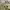 https://res.cloudinary.com/billionhands/image/upload/v1776719904/items/oxgx4tcewtnjg811yihs.jpg-3cover