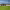 The Ranch at Wine Country (Gordonsville, VA) cover