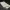 https://res.cloudinary.com/billionhands/image/upload/v1776729342/items/ew63sy9h3glzz4dmxh7l.webp-0cover