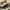 https://res.cloudinary.com/billionhands/image/upload/v1776735278/items/nawimnothgqclsov7esp.jpg-1cover