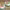 https://res.cloudinary.com/billionhands/image/upload/v1776735333/items/iqsfagrrtd91zvqyu3dz.jpg-3cover