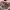 https://res.cloudinary.com/billionhands/image/upload/v1776735333/items/qxedkkb0pqaaeuppsyij.jpg-2cover