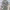https://res.cloudinary.com/billionhands/image/upload/v1776741073/items/uhpz5mjabygda6nkbf8w.webp-0cover