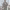 https://res.cloudinary.com/billionhands/image/upload/v1776741086/items/rflmyt0ll7m9lehrbriy.webp-2cover