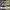 https://res.cloudinary.com/billionhands/image/upload/v1776742811/items/eyvm53kzzzd2duz6fj5y.jpg-0cover